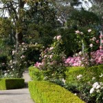 jardinier-italien